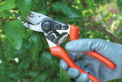 Types d'outils de coupe de jardin